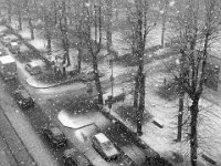 259 - SNOWING2 - GIUDICE MONICA - italy <div
